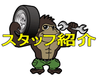 スタッフ紹介